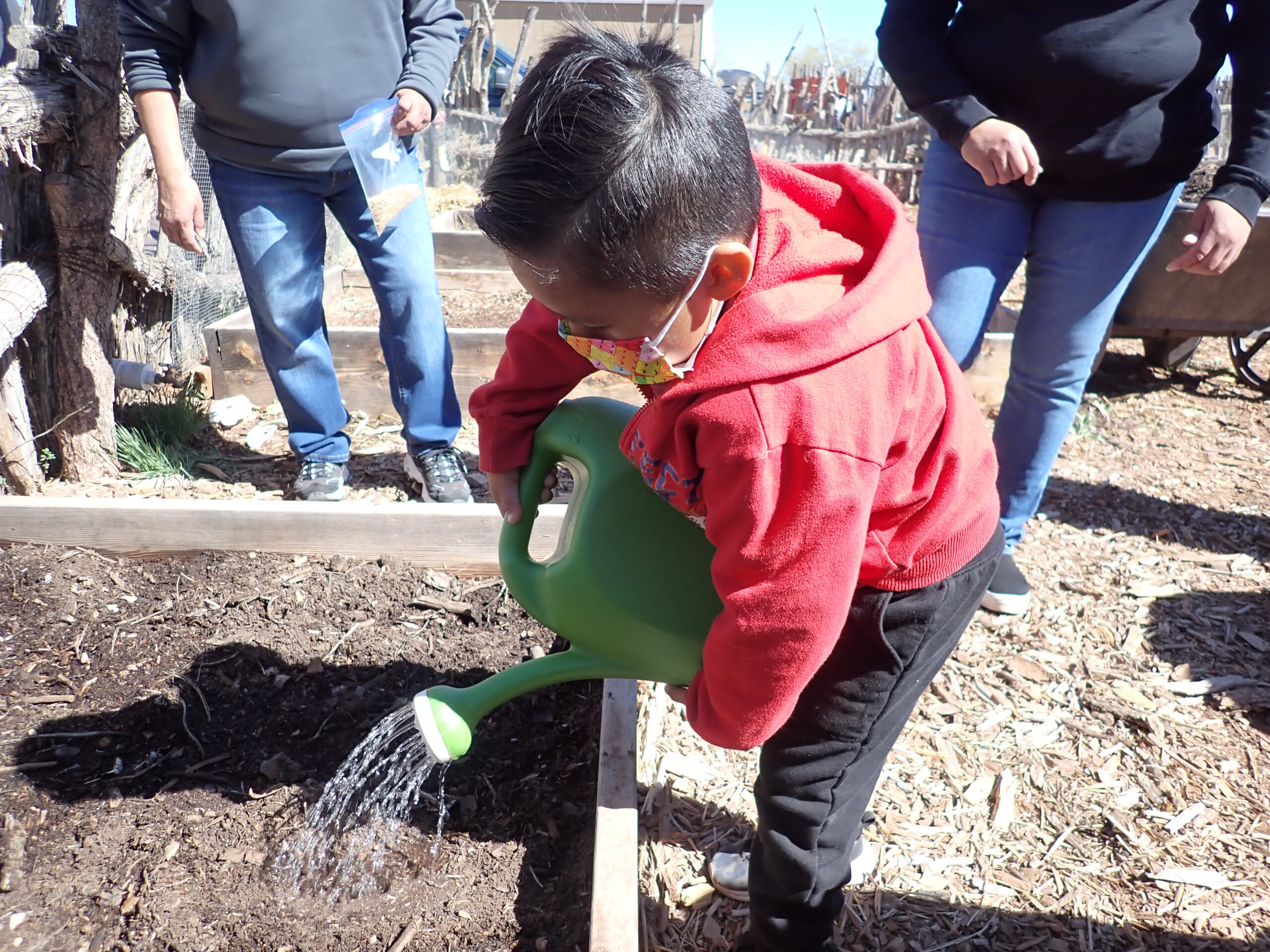 Image of Zuni Youth watering garden