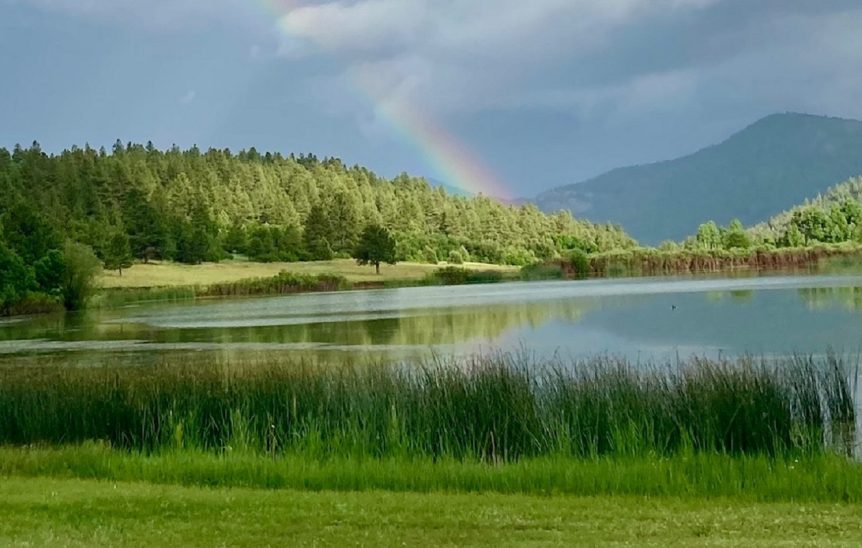 This image is of the landscape at Collins Lake Autism Center.